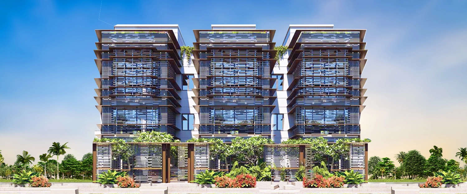 Elevation Image