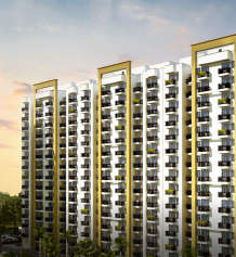 paarth-canary state