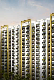 Paarth Canary State