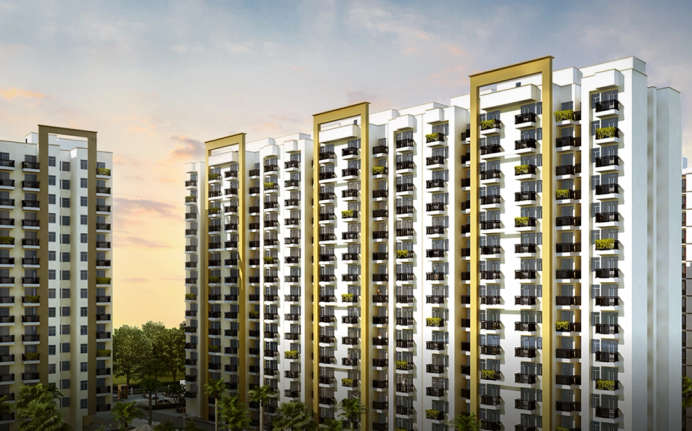 Paarth Canary State Miranpur Pinwat