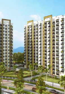 paarth-canary state