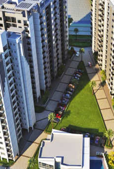 Paarth Canary State
