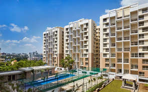 Nyati Esteban I Undri