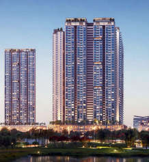 urbanrise-the world of joy