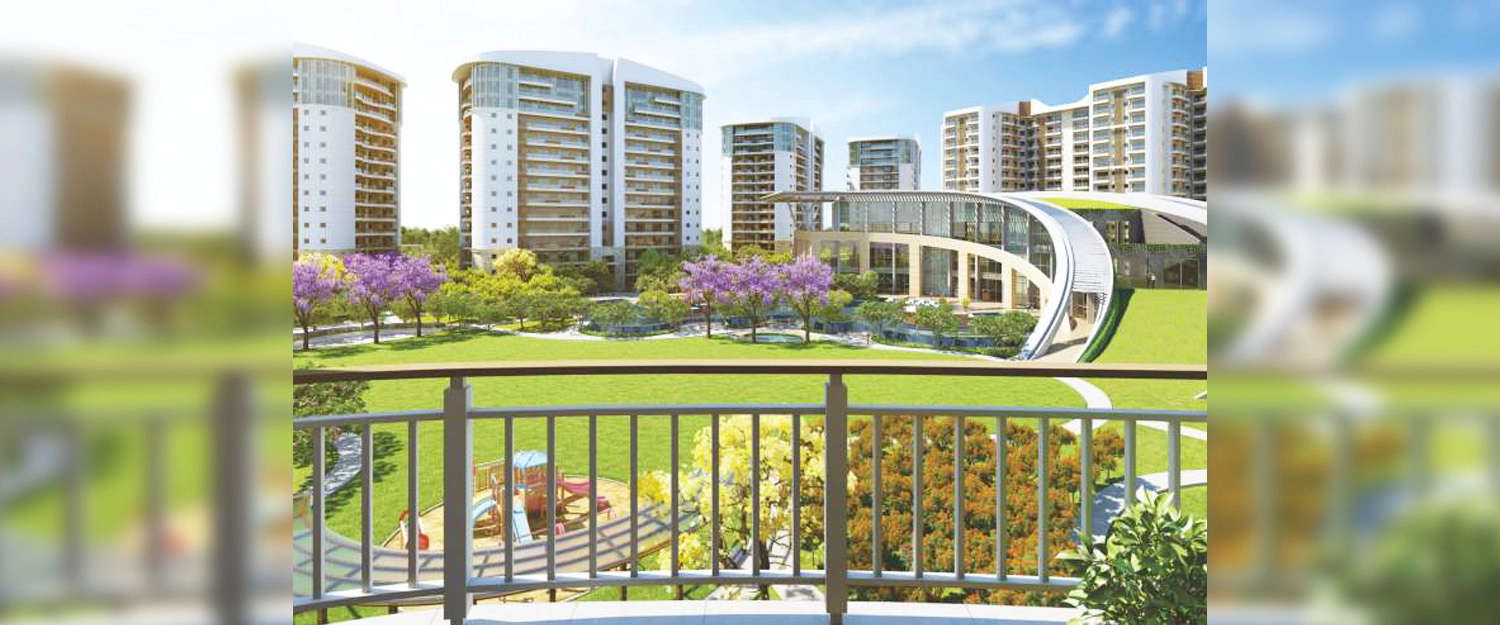 Outdoor Amenities
