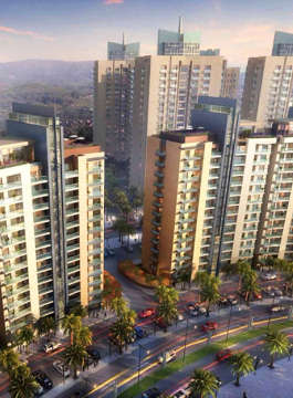 shalimar-belvedere court