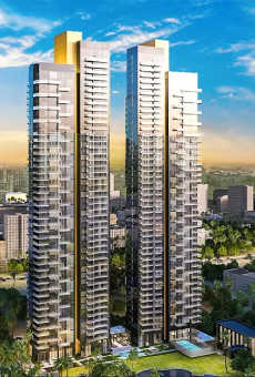Tribeca NBNA