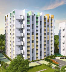 rohan-anand