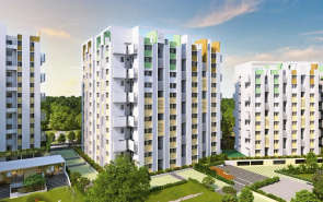 Rohan Anand Shirgaon