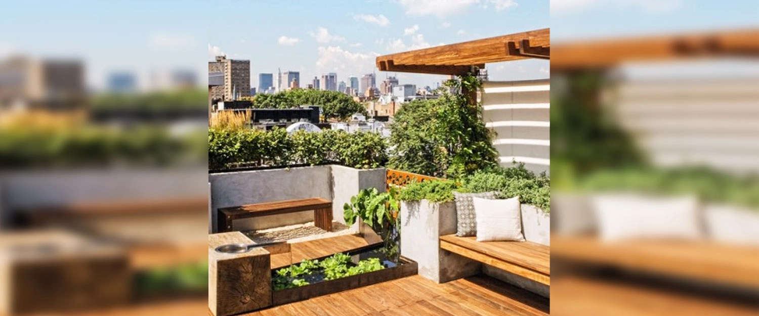 Outdoor Amenities