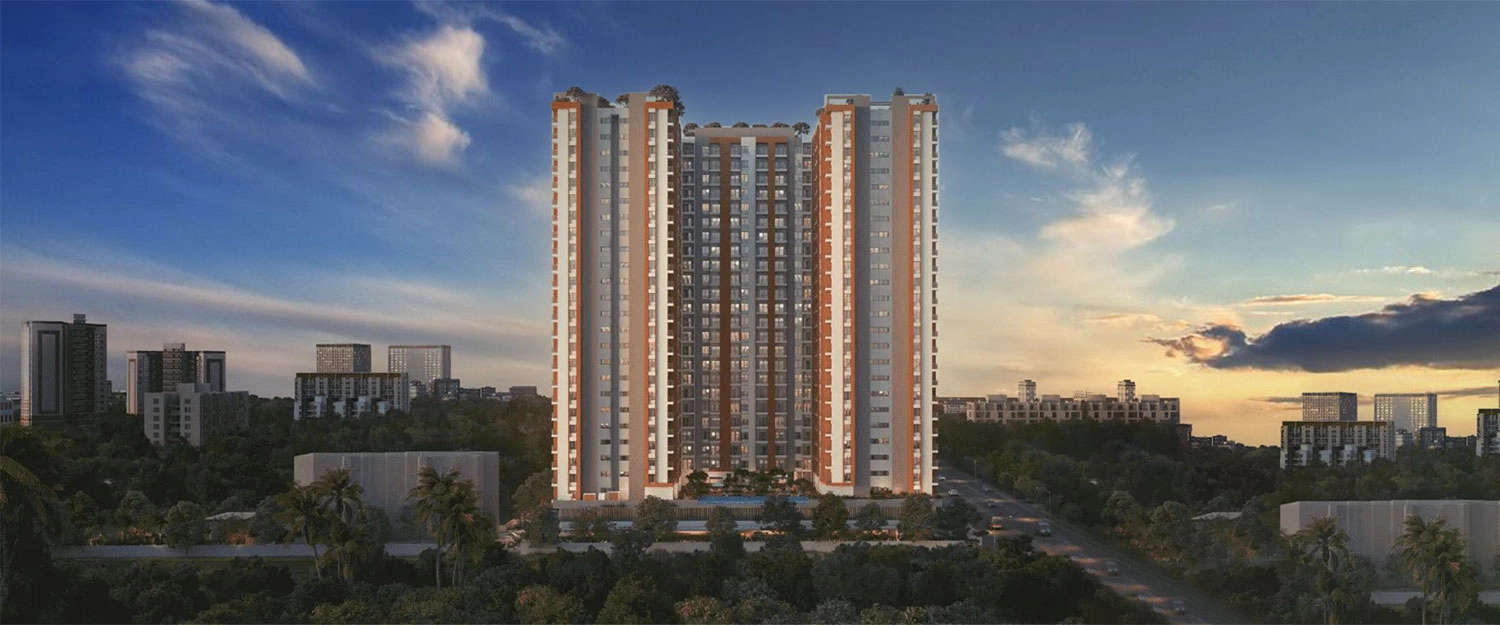Elevation Image