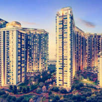 nikoo-6 phase 2