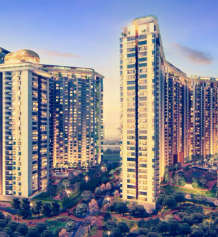 nikoo-6 phase 2