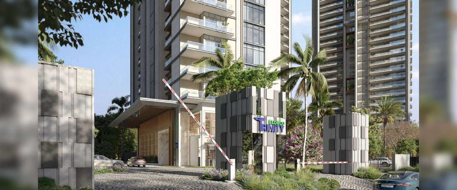 Project Entrance View