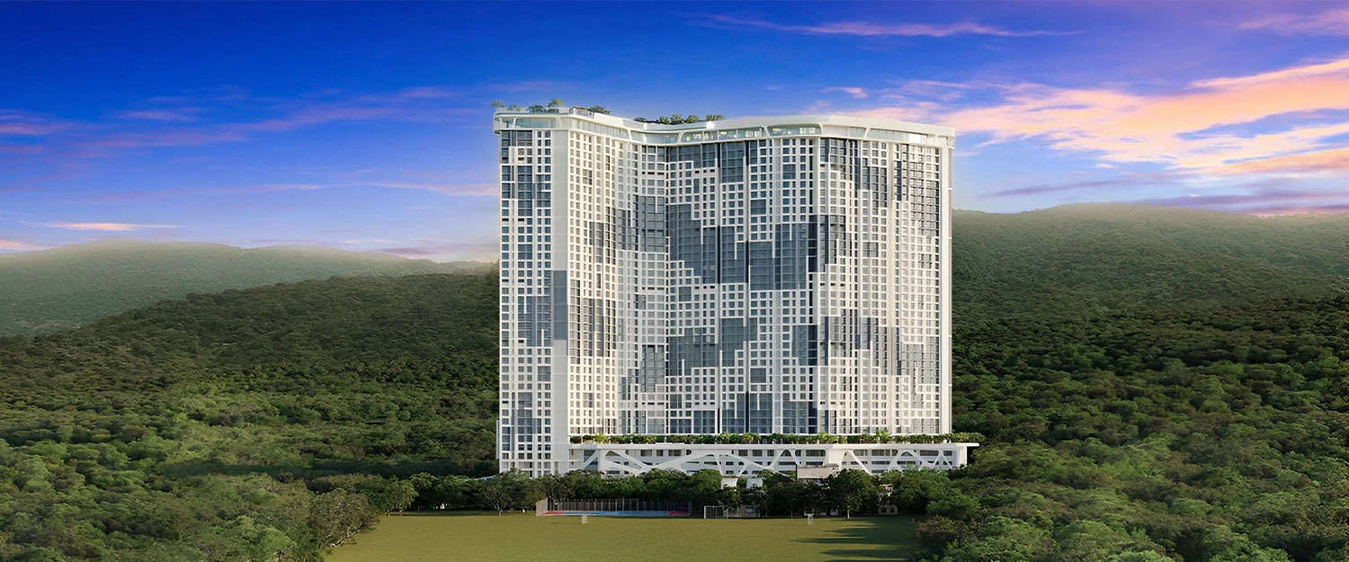 Elevation Image