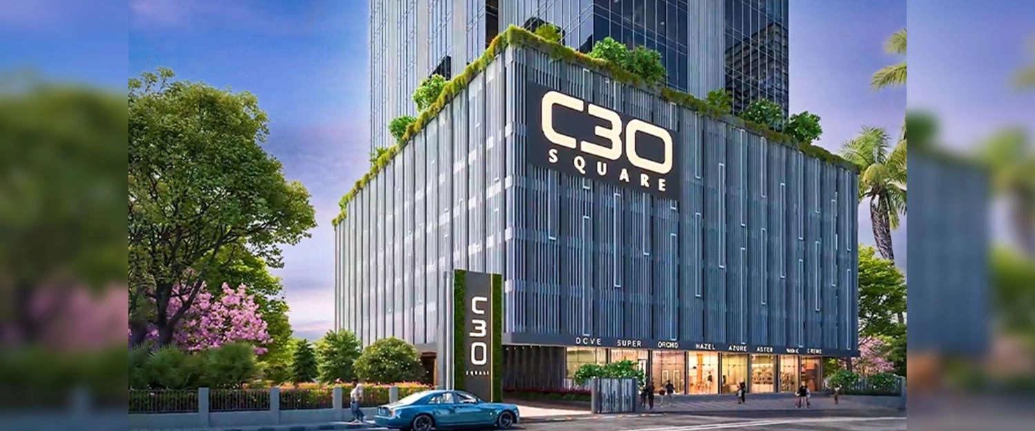 Project Entrance View