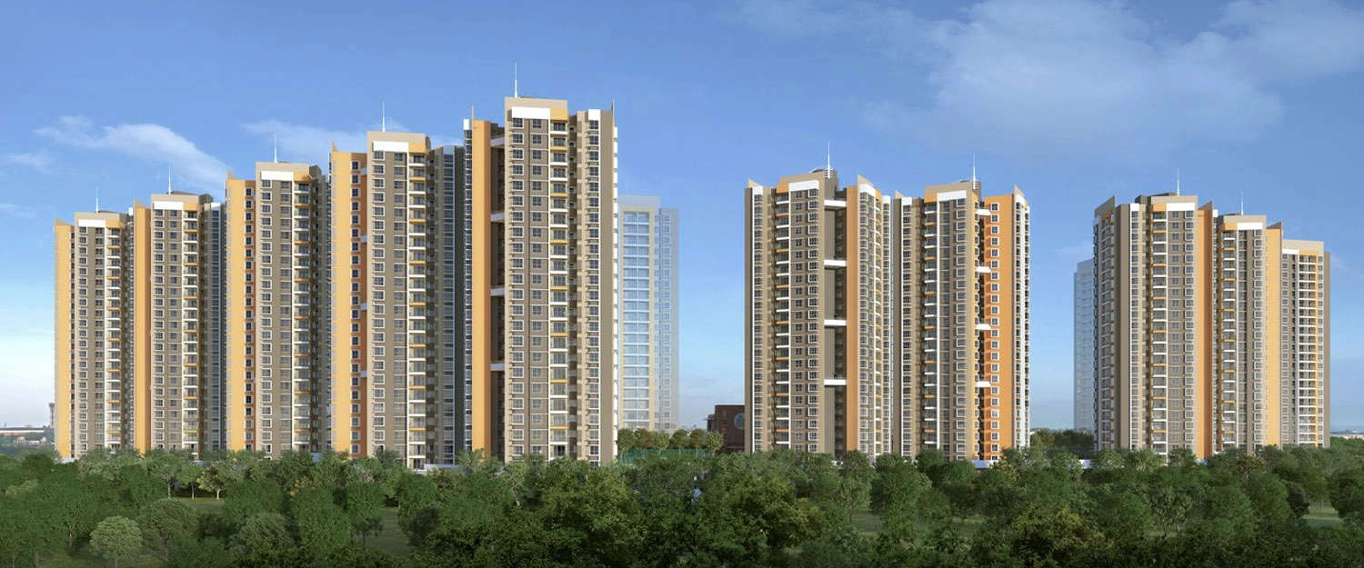 Elevation Image