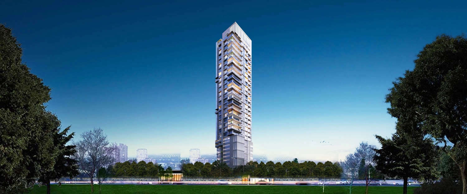 Elevation Image
