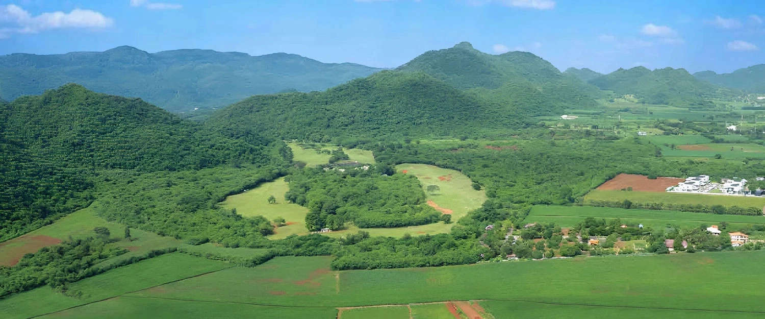 Godrej Woodside Estate