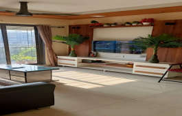 apartment-for resale in sonali raut chs