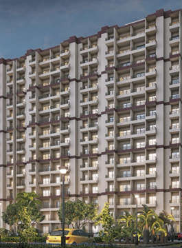 pardos-okas residency