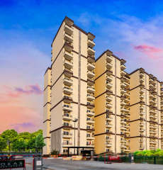 pardos-okas residency