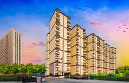 pardos-okas residency