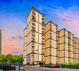 pardos-okas residency