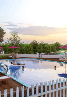 dragon-age nottingham homz