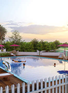 dragon-age nottingham homz