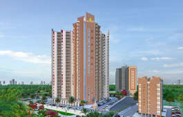 dragon-age nottingham homz