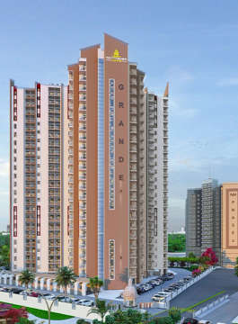 dragon-age nottingham homz