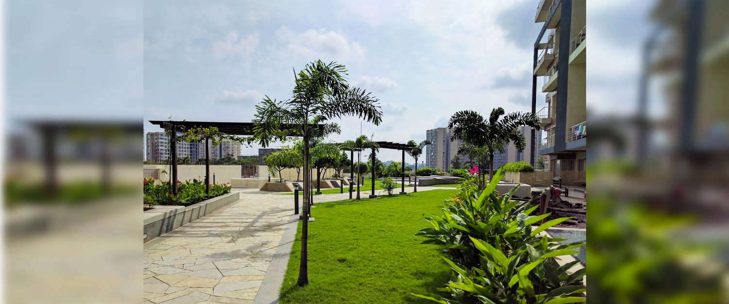 Outdoor Amenities