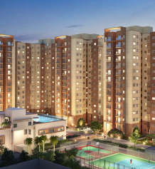 shriram-wyt field