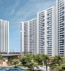 kalyani-living tree