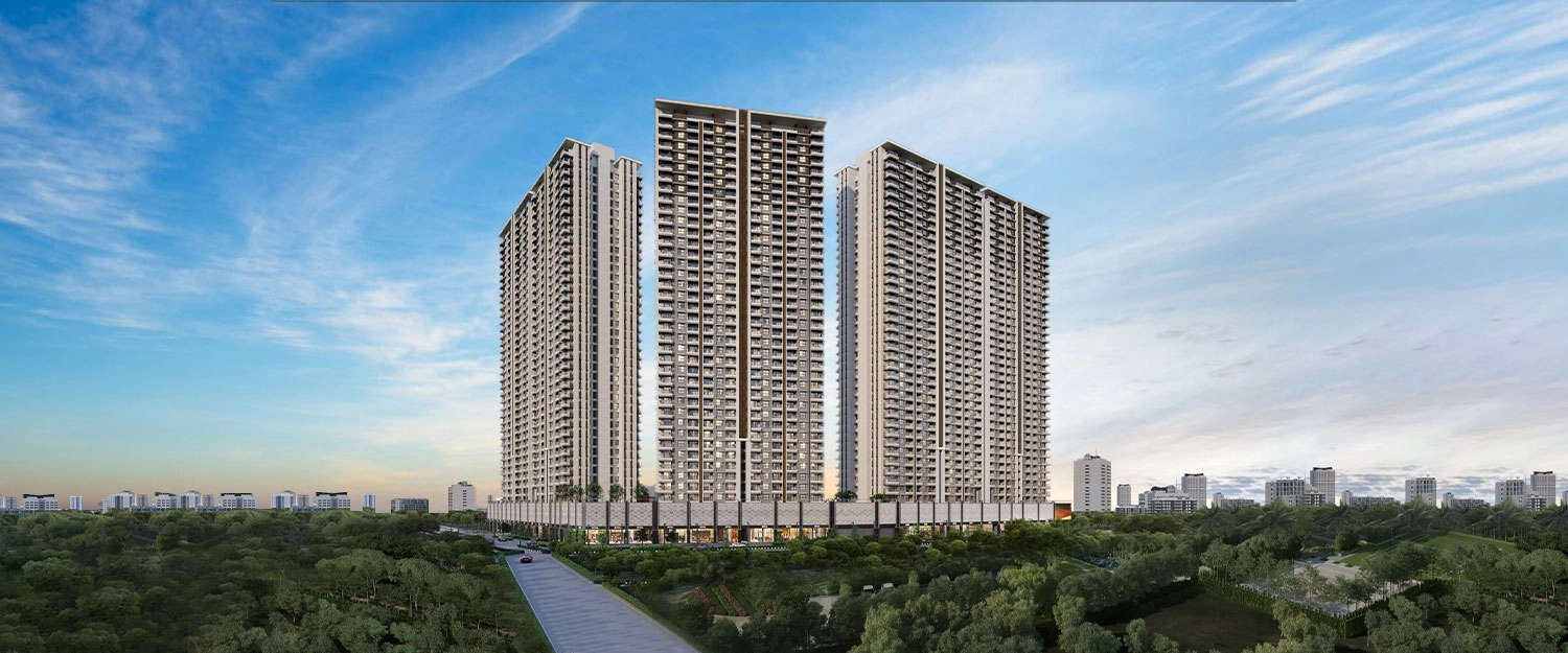 Elevation Image