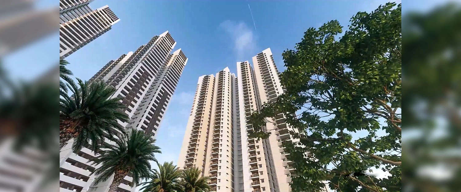 Elevation Image