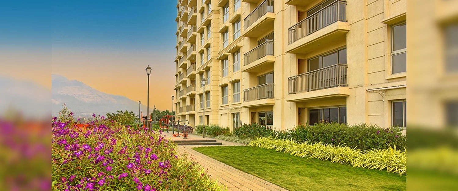 Outdoor Amenities