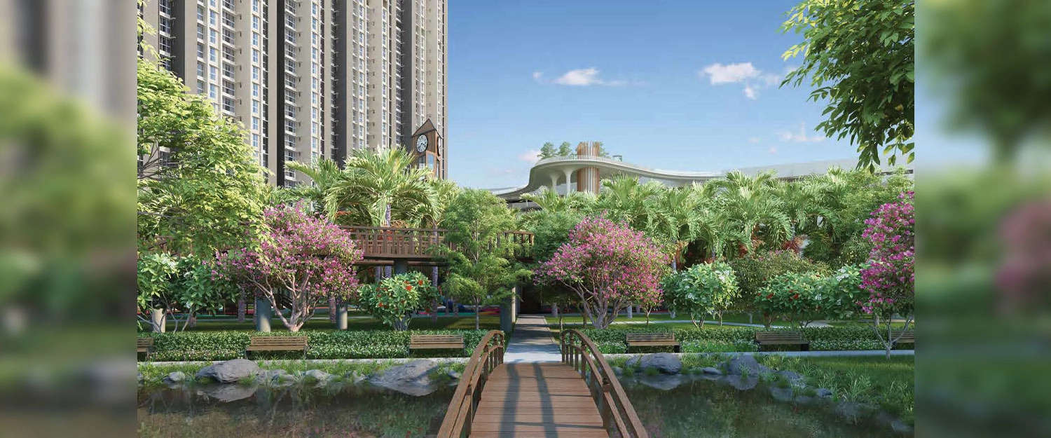 Outdoor Amenities