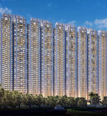 raymond-realty oasis