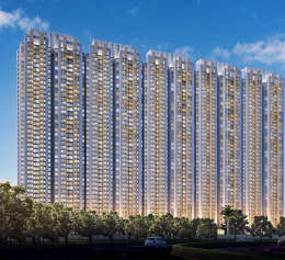 raymond-realty oasis