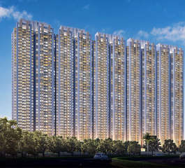 raymond-realty oasis