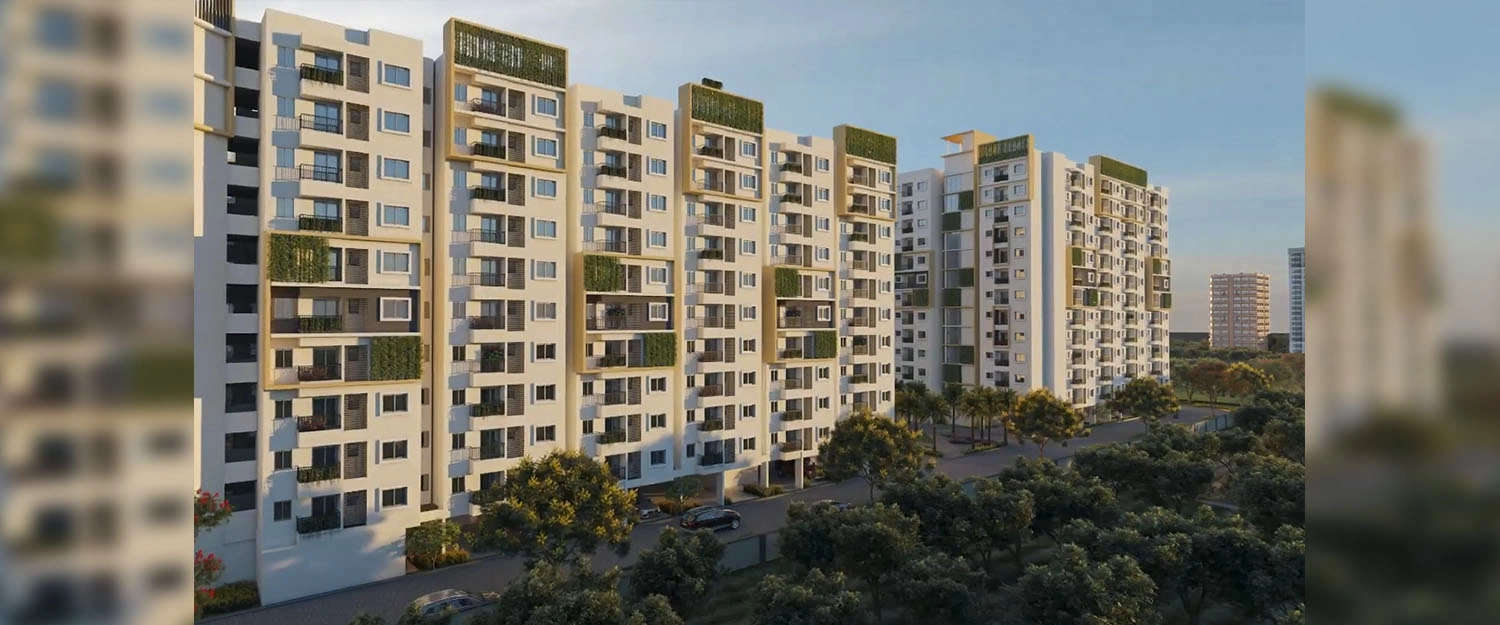 Elevation Image