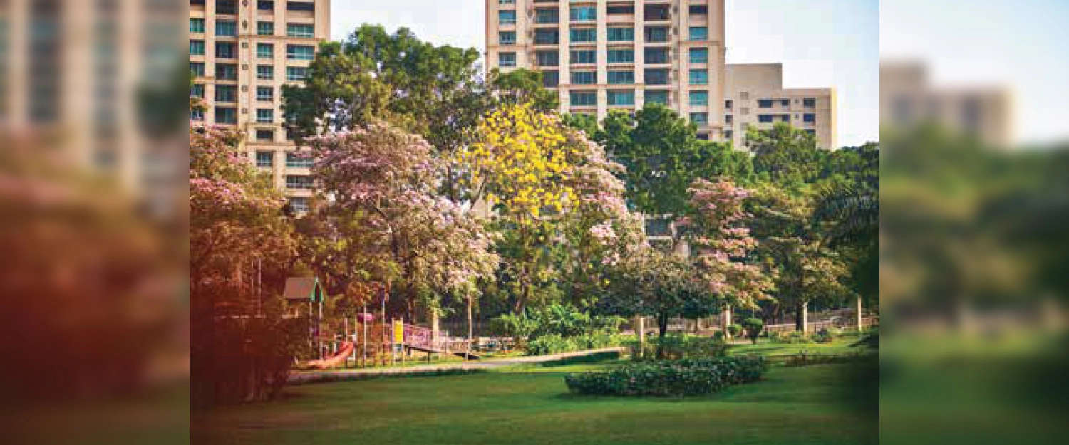 Outdoor Amenities