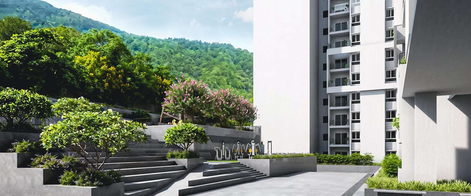 Outdoor Amenities