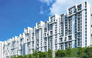 Rohan Saroha Bhugaon