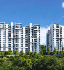 rohan-saroha