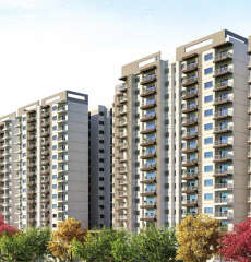 l-& t raintree olivia