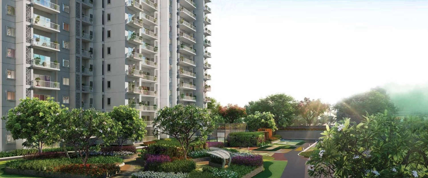 Outdoor Amenities