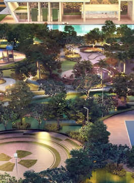 raymond-codename beyond